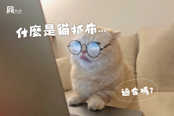 如何挑選最適合你家的貓抓布沙發?|1分鐘瞭解貓抓布沙發優缺點