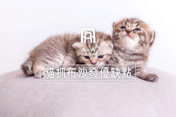 貓抓布沙發缺點與優點探索:打造貓咪與家具和諧共存的空間