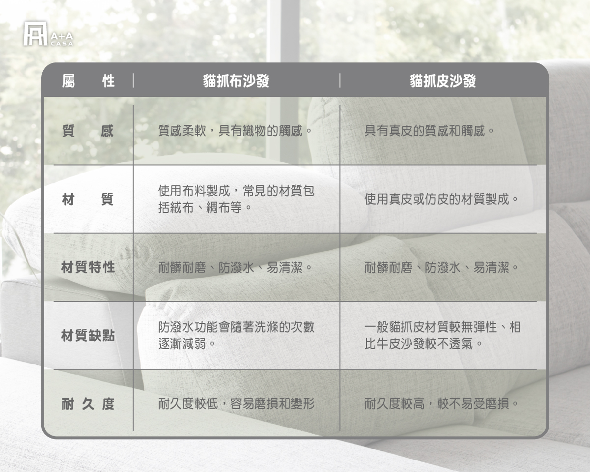 一定要注意!貓抓布貓抓皮差別在這裡