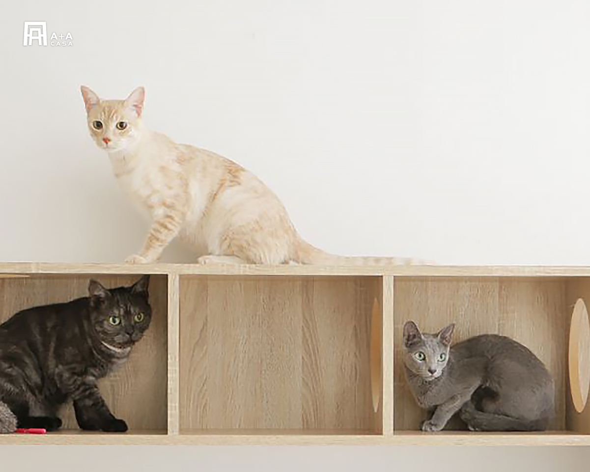 貓抓皮沙發1+2+3,尺寸、種類必須要知道: