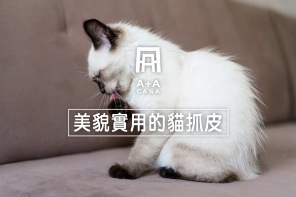 貓抓皮沙發台中推薦A+A,揮別貓咪的爪子,貓抓皮美貌與實用兼備
