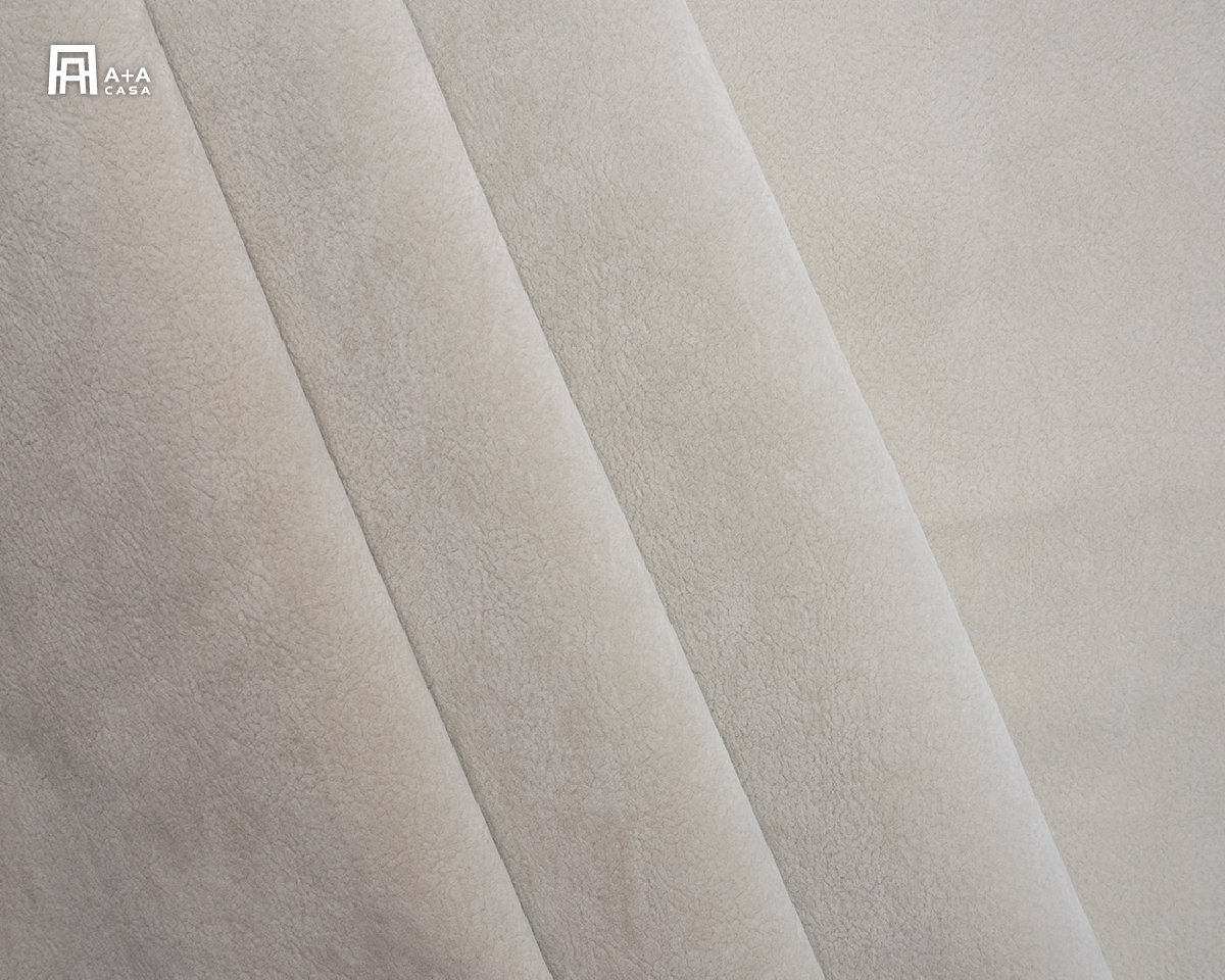 以色列貓抓布品牌有哪些?