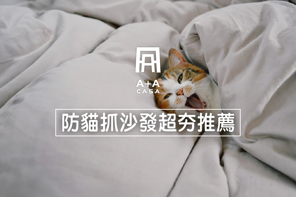 防貓抓沙發有用嗎?真的抓不破?防貓抓沙發優缺點一次看