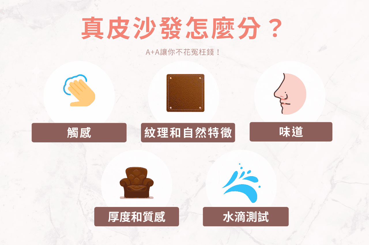 真皮沙發怎麼分辨?